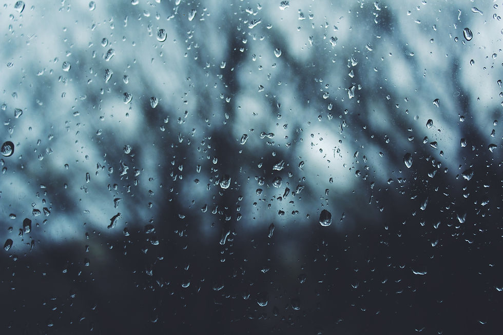 Image by Noah Silliman