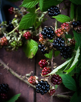 Image by Monika Grabkowska