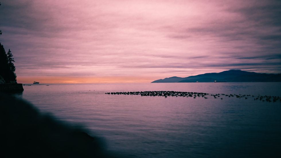 Image by Brandon Erlinger-Ford