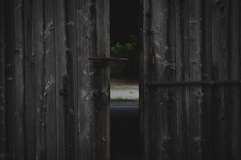 Image by Federico Lancellotti