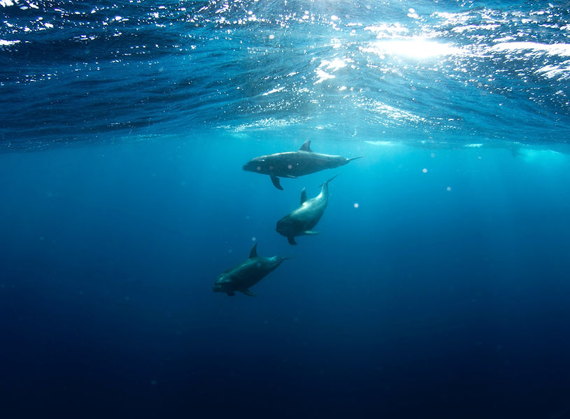 Image by Talia Cohen