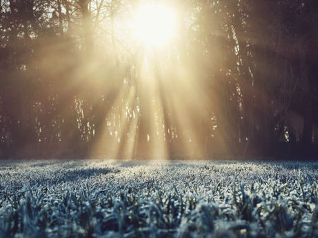 Ringrazio l'inverno - di Flavia Todisco, un romanzo di luce che ringrazia il gelo dell'inverno della vita