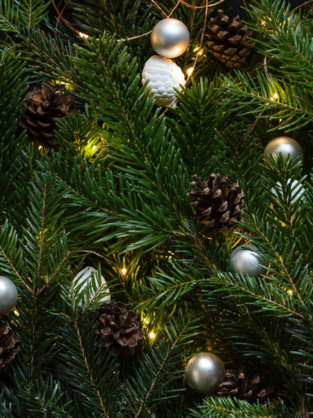 Christmas Tree Styling Tips: Themed Trees to Match Your Holiday Aesthetic