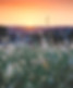Freiluftgefluester_Hypnose_Coaching_Hannover_Image by Sapan Patel
