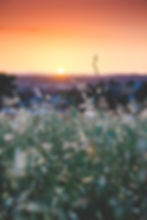 Easter Sunrise Service