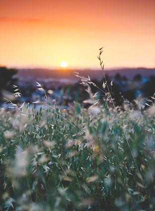 Image by Sapan Patel