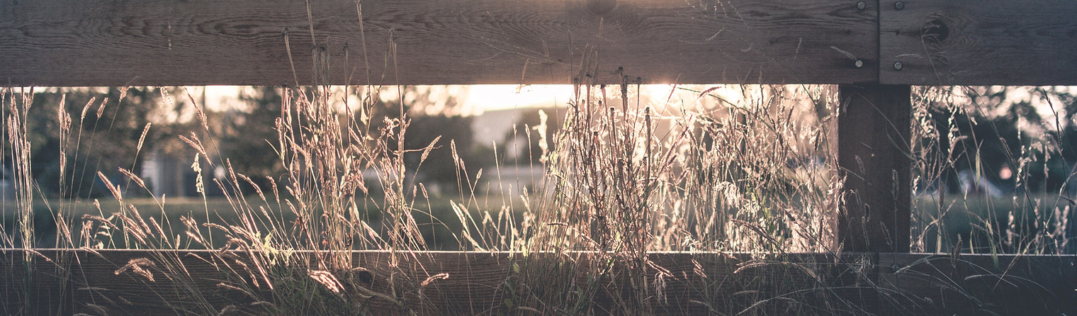 Image by Nick Tiemeyer