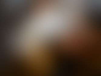 Por que seu gato gosta de dormir em você