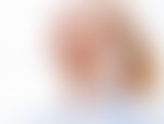 Jääräpäisyyden ongelma 8/2025