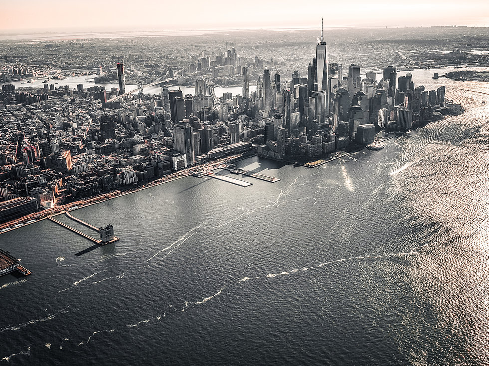 Image by Carl Solder