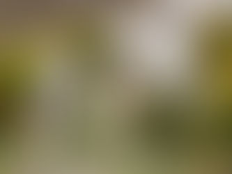 Rama's White Knight Report - January 13, 2023