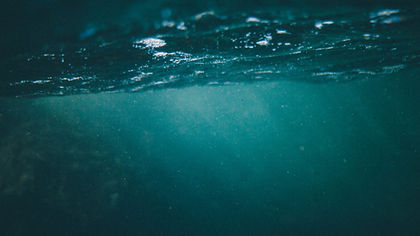Image de Tim Marshall