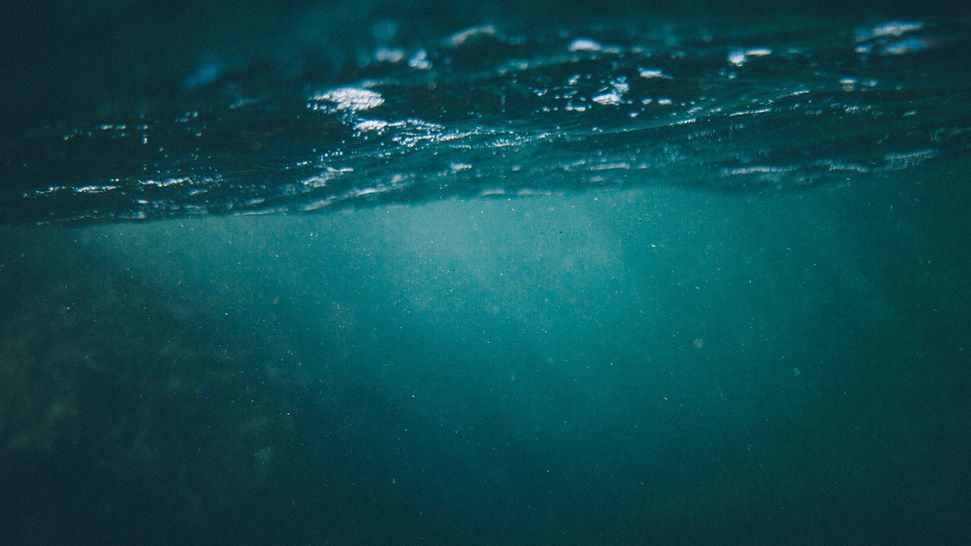 Image by Tim Marshall