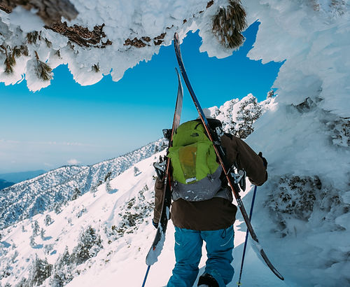 Image by Robson Hatsukami Morgan