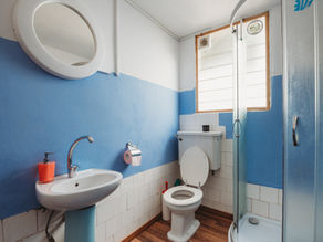 🌿 Dica para um banheiro fresco e sem mau cheiro! 🚽✨