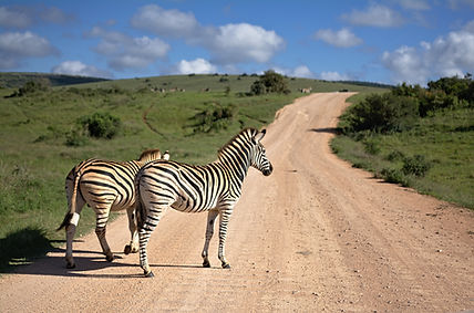 Sudan, South