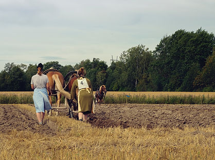 Image by Miika Laaksonen