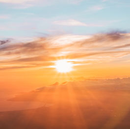 Finding our ‘Simple Joys’:   ‘ordinary’ moments that boost our mental health