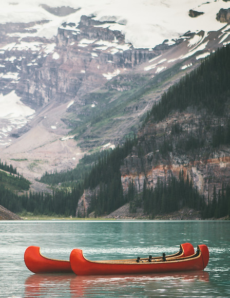 Image by Andrew Ly