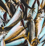 Image by Oziel Gómez