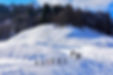 Randonnée raquette à neige