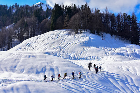 Randonnée raquette à neige