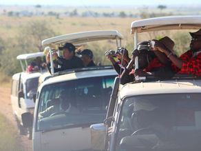 What is The Best Option, Group Joining or Private Tanzania Safari?