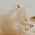 Image by Natalie Comrie