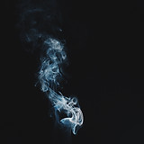 Image by Damon Lam