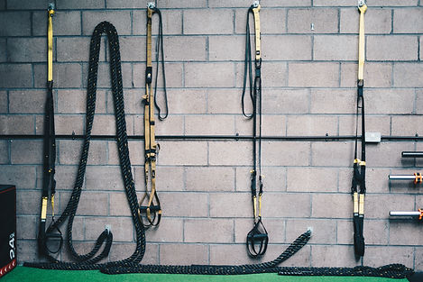Trx Material Gimnasio