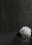 Image by Priscilla Du Preez