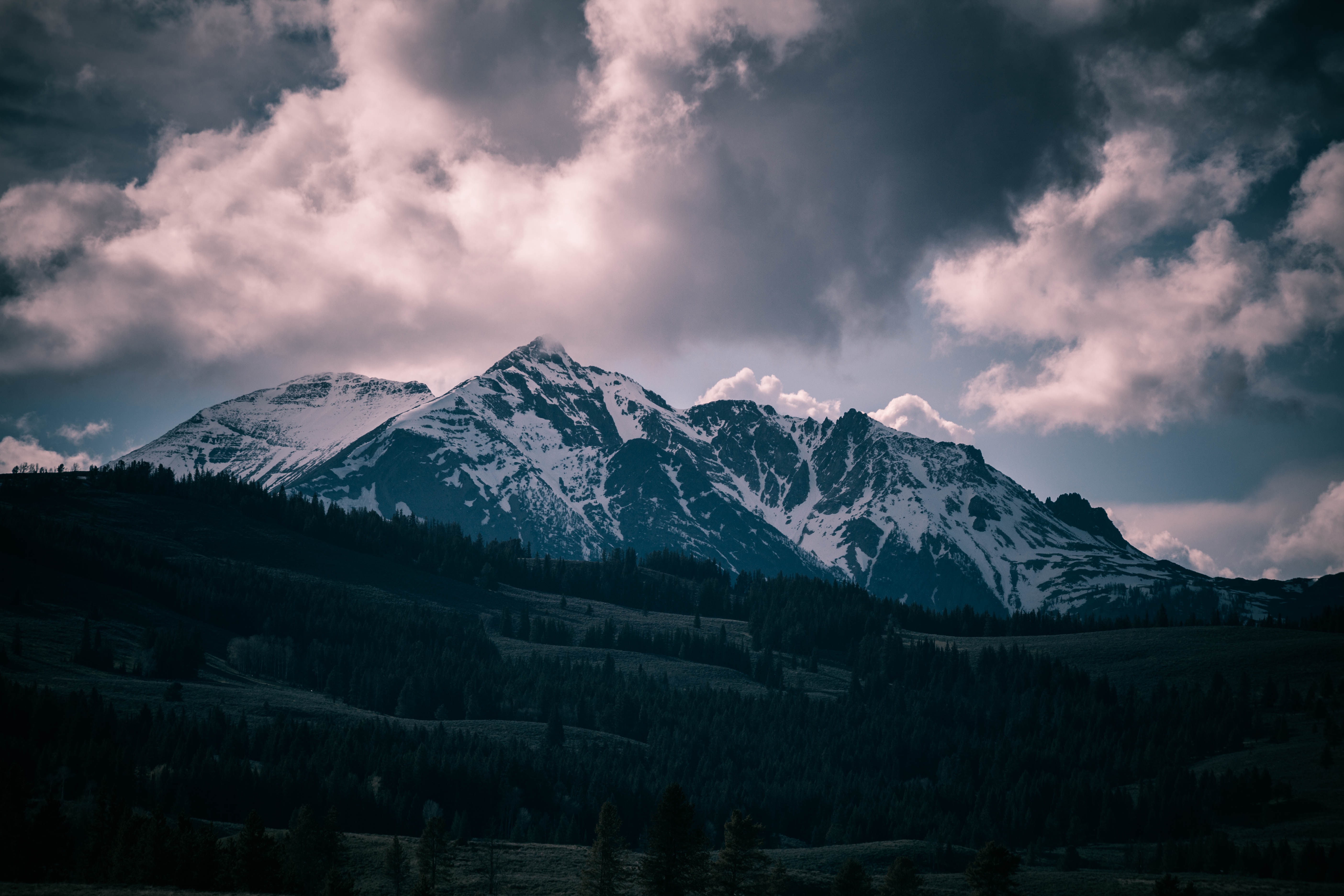 Yellowstone Wildlife Cabins | West Yellowstone Lodging l ...