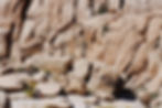 Tim Elam: Roadside Geology of Kern County