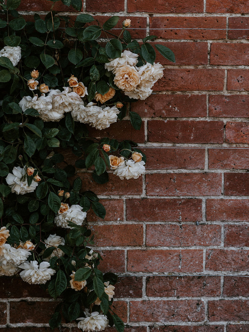 Image by Annie Spratt