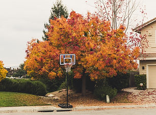 Image by Ambreen Hasan