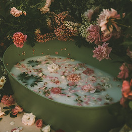 Image by Anita Austvika
