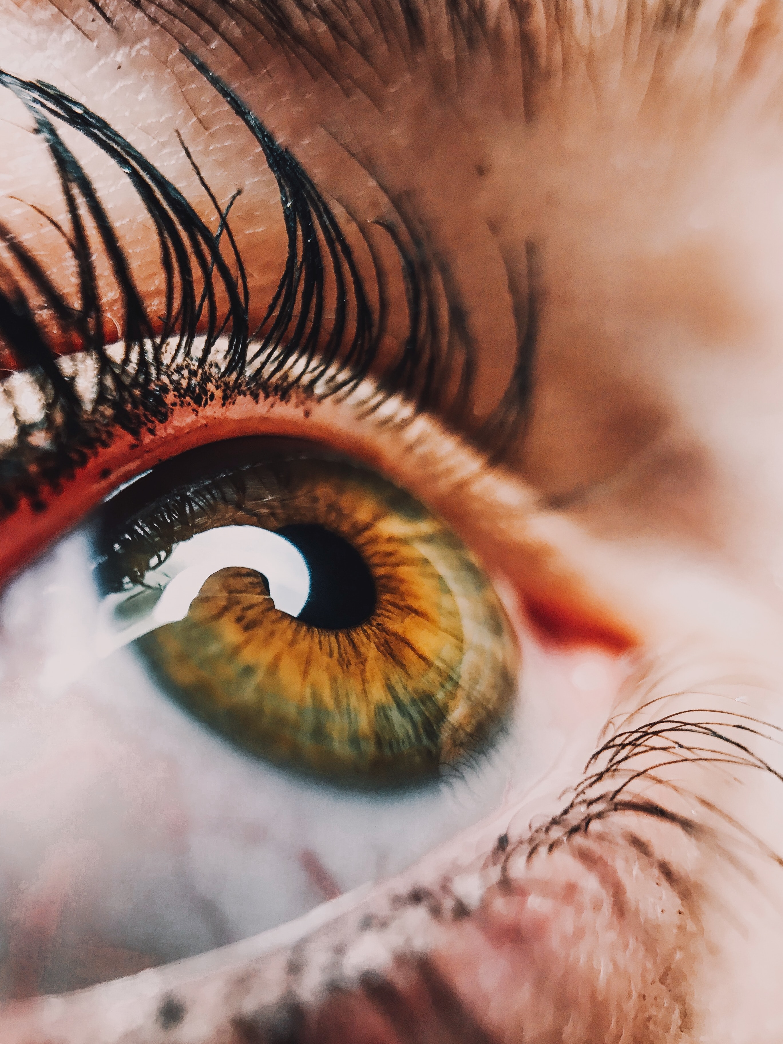 close up of a pupil
