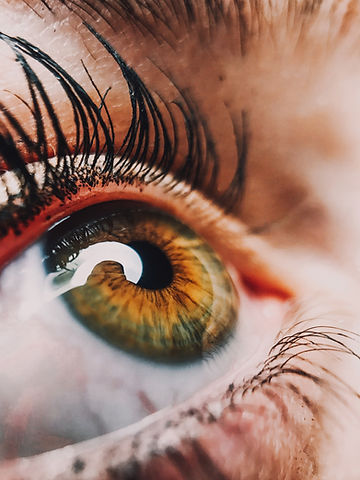 Image by Perchek Industrie