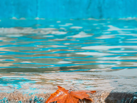 🍁 Sonbahar Havuz Bakım Kılavuzu: Havuzunuzu Kışa Hazırlayın