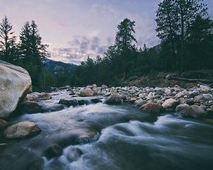 Image by Vanessa Ochotorena