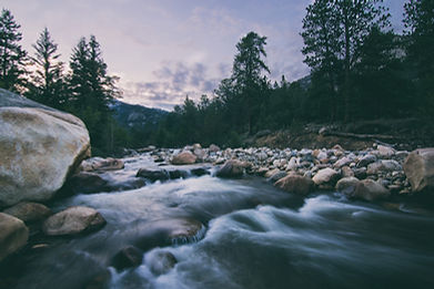river with rocks in forest