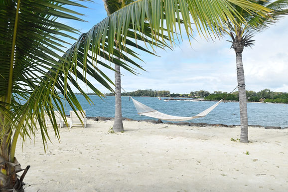 Sivananda Ashram Yoga Retreat Bahamas - 7th Annual Sivananda Ayurvedic Symposium