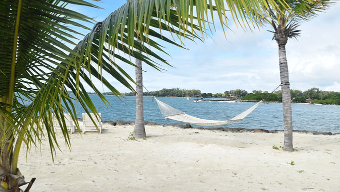 Sivananda Ashram Yoga Retreat Bahamas - 7th Annual Sivananda Ayurvedic Symposium