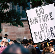 Image by Markus Spiske