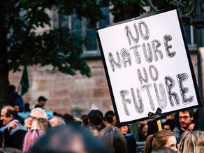 Why carbon pricing is not sufficient to mitigate climate change