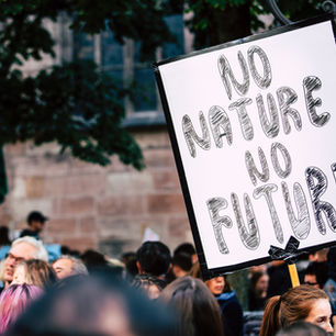 Image by Markus Spiske