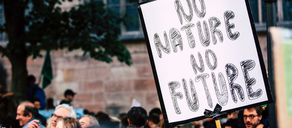 Why Nature Based Solutions Should be Central to Climate Policy