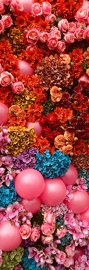 Image by Susn Matthiessen