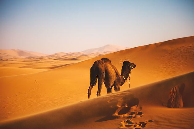 Image by Ben Ostrower