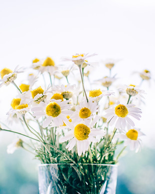 Image by Rodion Kutsaev